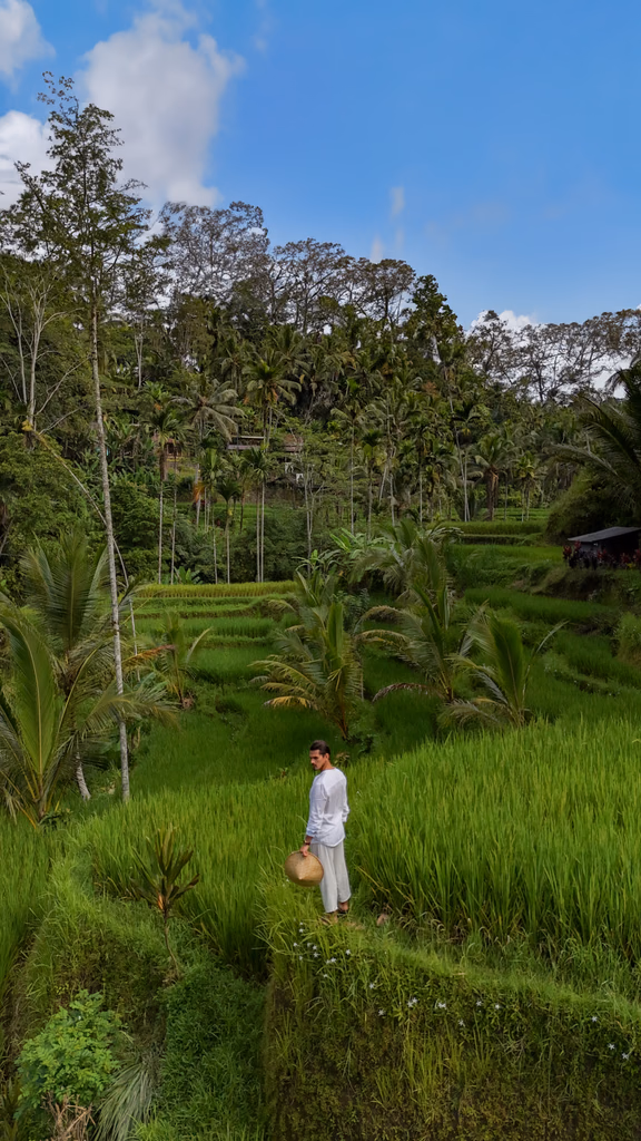 Travel landscape