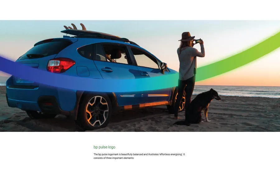 Branding Systems — bp pulse — Placeholder 03