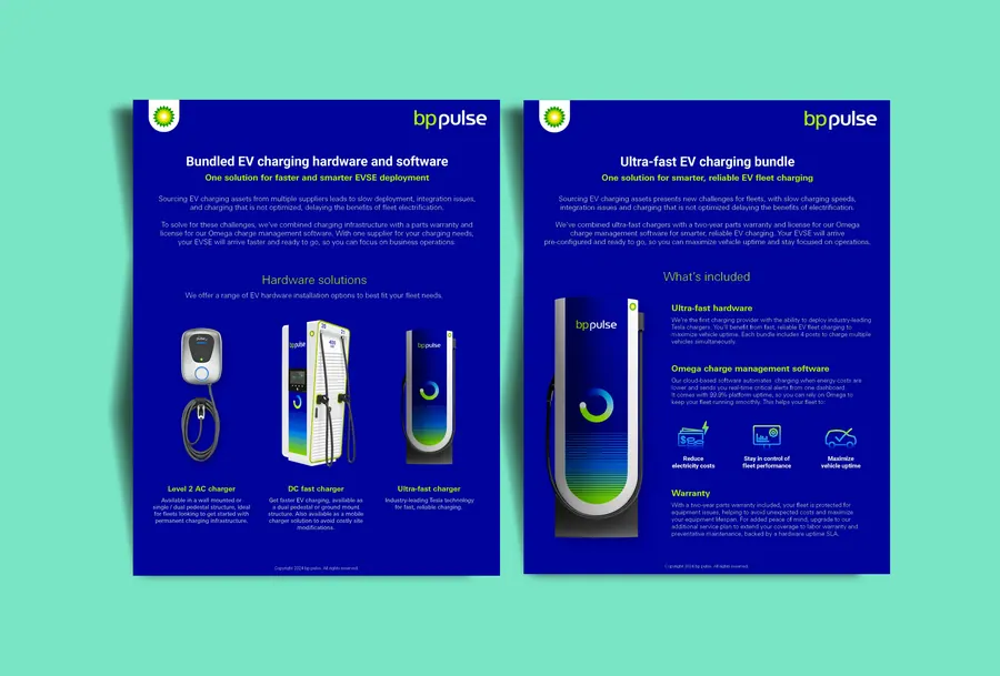 Brochure & Print Design — bp pulse — Placeholder 01
