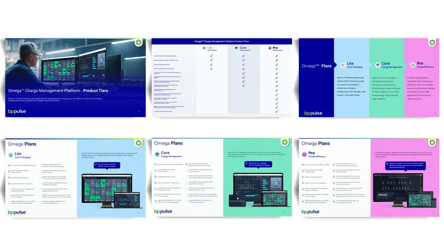 Presentation & Visual Storytelling — bp pulse — Placeholder 01